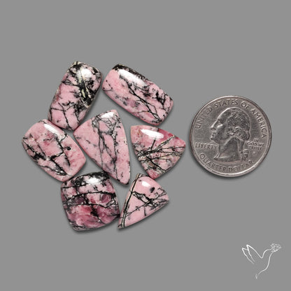 Rhodonite Cabochons Lot