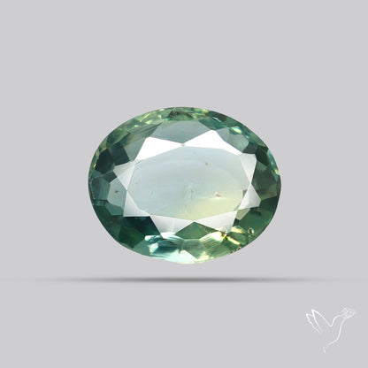 Faceted Australian Green Sapphire
