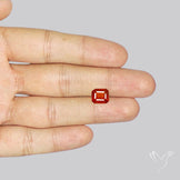 Faceted Spessartite Garnet Rare Orange Garnet Gemstone