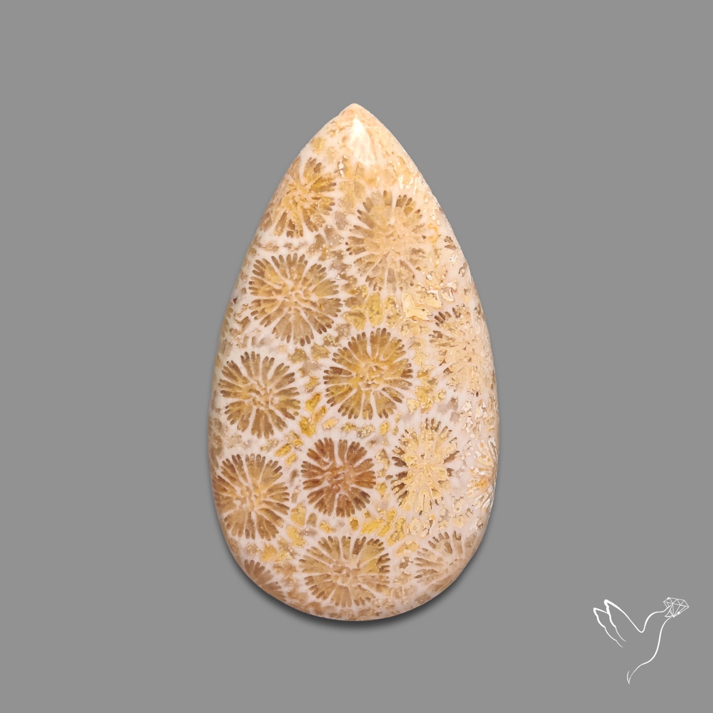 Fossil Coral Cabochon