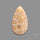 Fossil Coral Cabochon