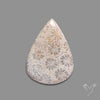 Fossil Coral Cabochon
