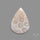 Fossil Coral Cabochon