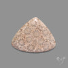 Fossil Coral Cabochon