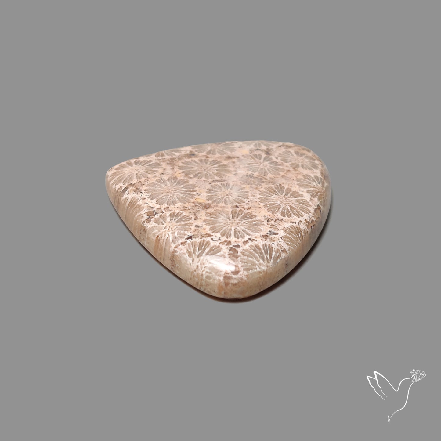 Fossil Coral Cabochon