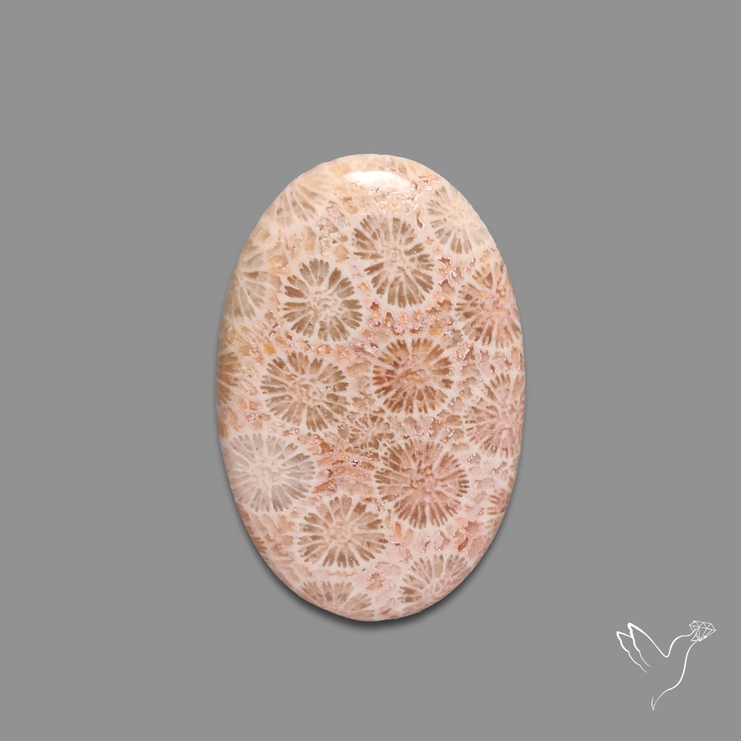 Fossil Coral Cabochon