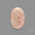 Fossil Coral Cabochon