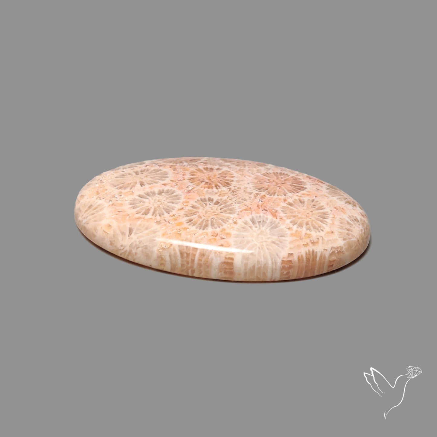 Fossil Coral Cabochon