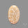 Fossil Coral Cabochon