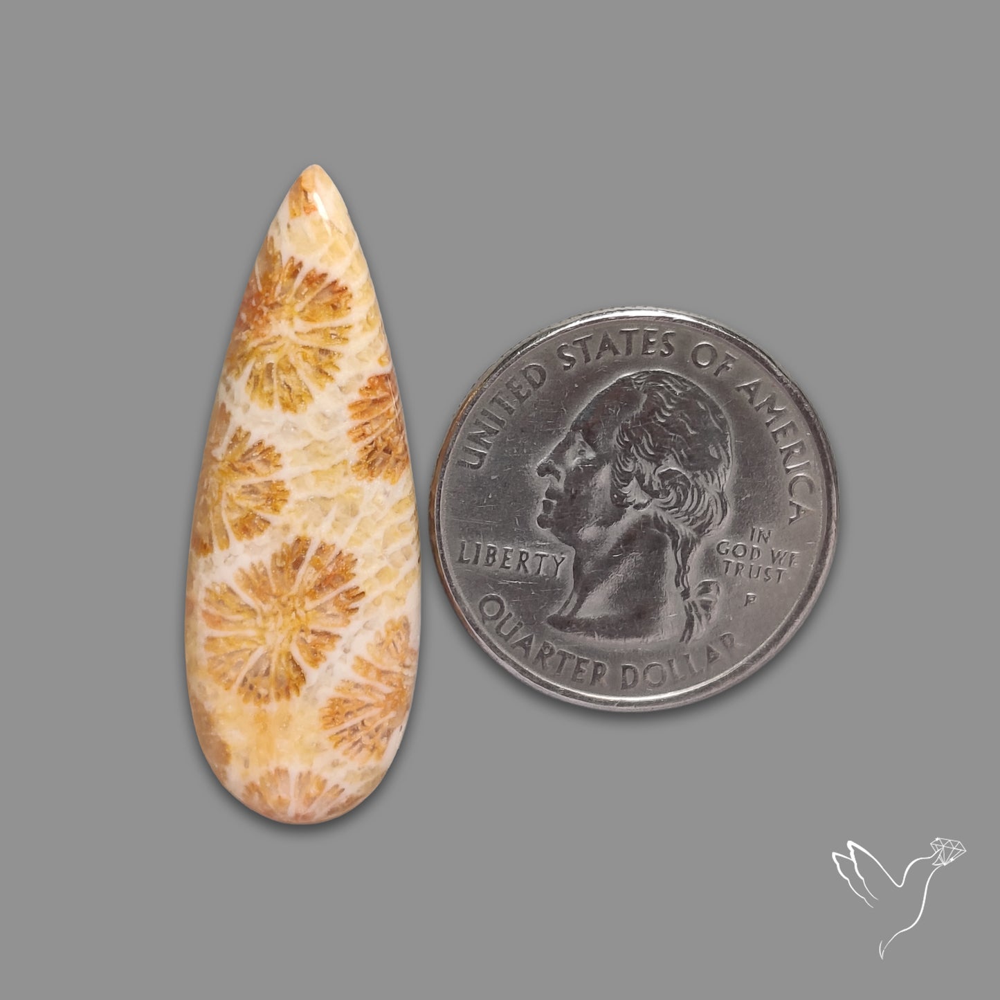 Fossil Coral Cabochon