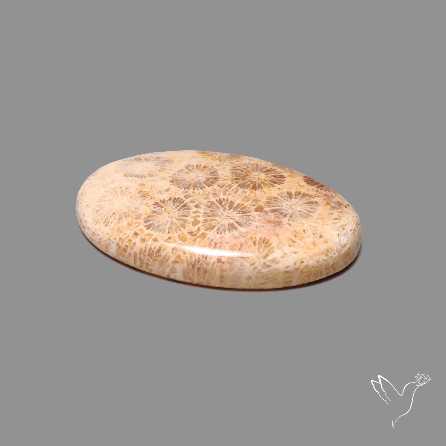 Fossil Coral Cabochon