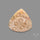 Fossil Coral Cabochon