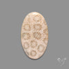Fossil Coral Cabochon