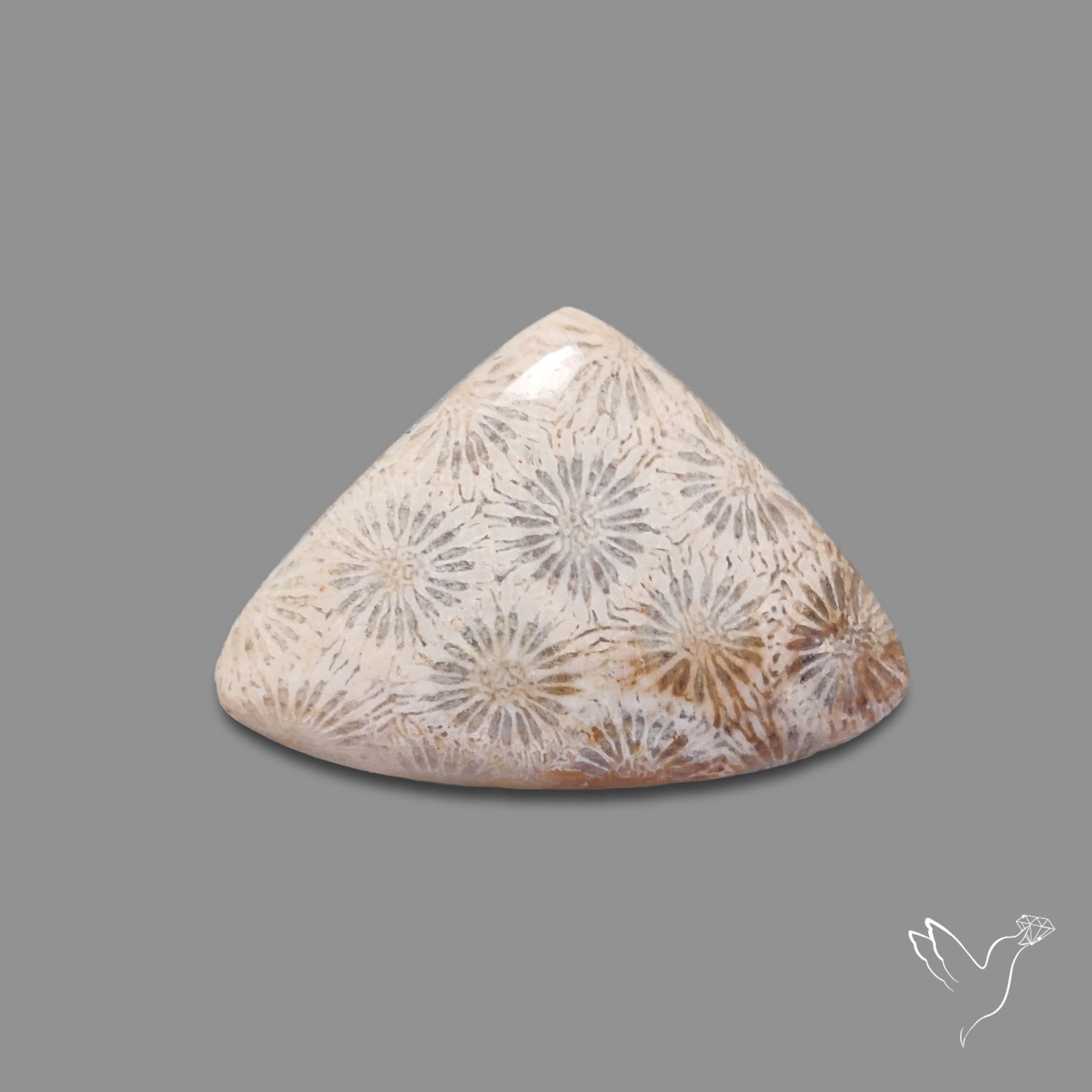 Fossil Coral Cabochon