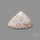 Fossil Coral Cabochon