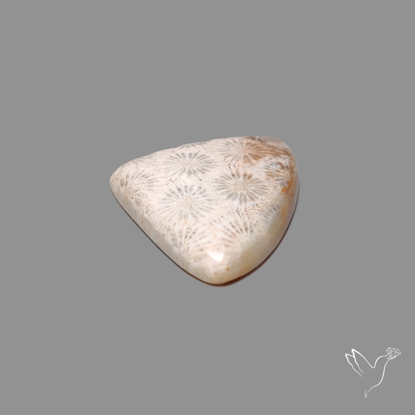 Fossil Coral Cabochon