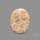 Fossil Coral Cabochon