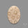 Fossil Coral Cabochon