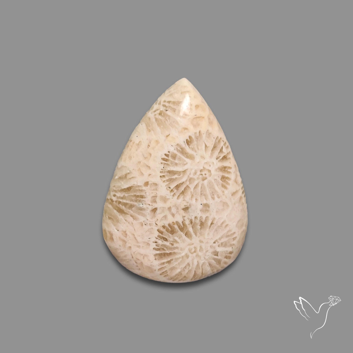 Fossil Coral Cabochon