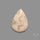 Fossil Coral Cabochon