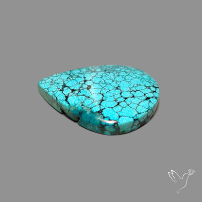 Large Spiderweb Hubei Turquoise Cabochon