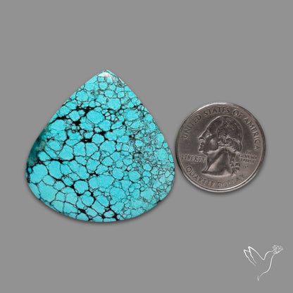 Large Spiderweb Hubei Turquoise Cabochon