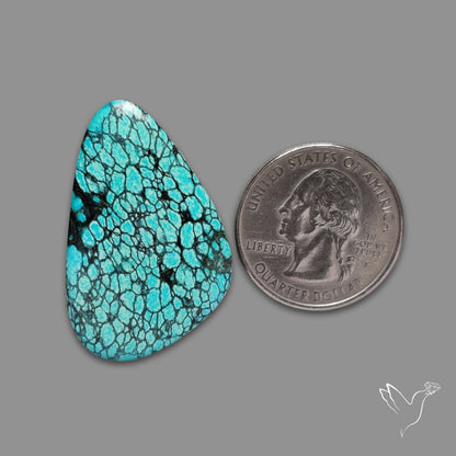 Spiderweb Hubei Turquoise Cabochon