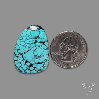 Spiderweb Hubei Turquoise Cabochon