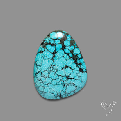 Spiderweb Hubei Turquoise Cabochon