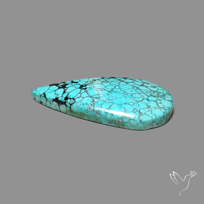 Spiderweb Hubei Turquoise Cabochon