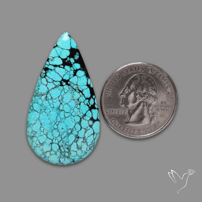 Spiderweb Hubei Turquoise Cabochon