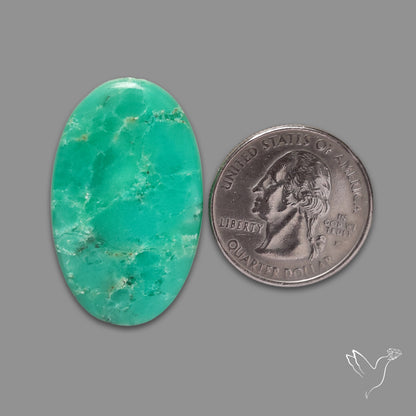 Australian Newman Chryosprase Cabochon