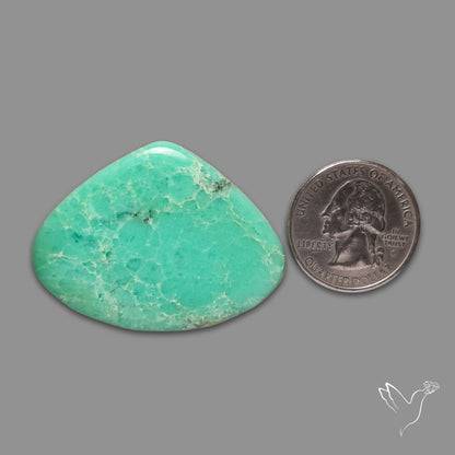 Australian Newman Chryosprase Cabochon