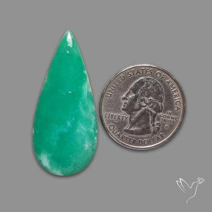 Australian Newman Chryosprase Cabochon
