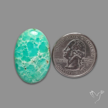 Australian Newman Chryosprase Cabochon