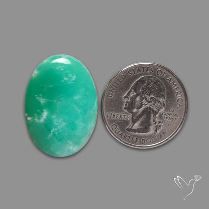 Australian Newman Chryosprase Cabochon