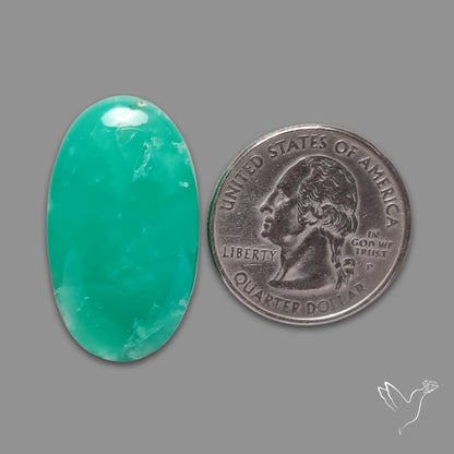 Australian Newman Chryosprase Cabochon