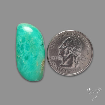 Australian Newman Chryosprase Cabochon