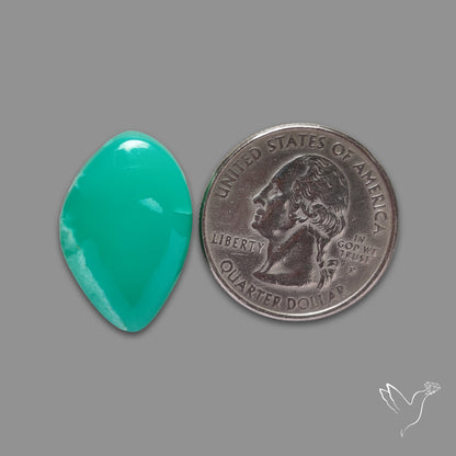 Australian Newman Chryosprase Cabochon