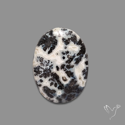 Parallel Dendritic Agate