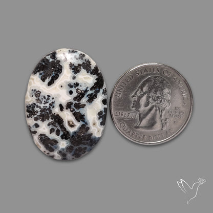 Parallel Dendritic Agate