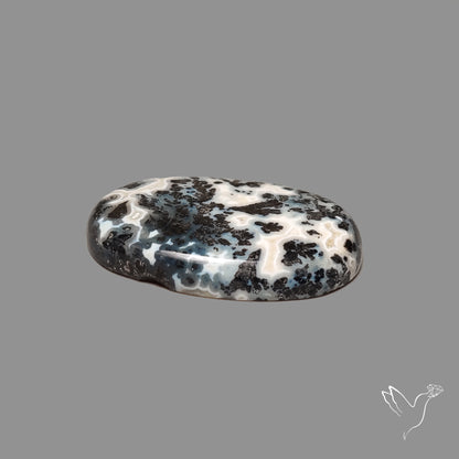Parallel Dendritic Agate