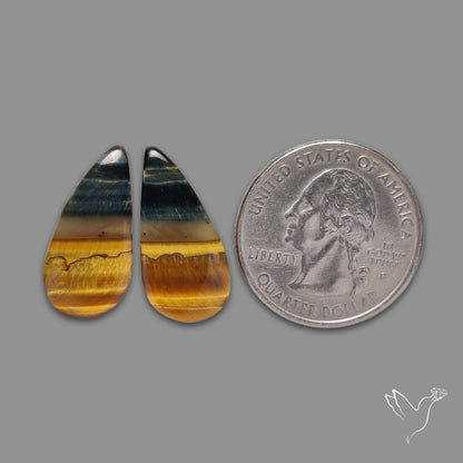 Tiger Eye Pair Bicolor