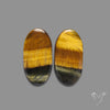 Tiger Eye Pair Bicolor