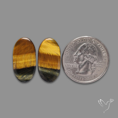 Tiger Eye Pair Bicolor