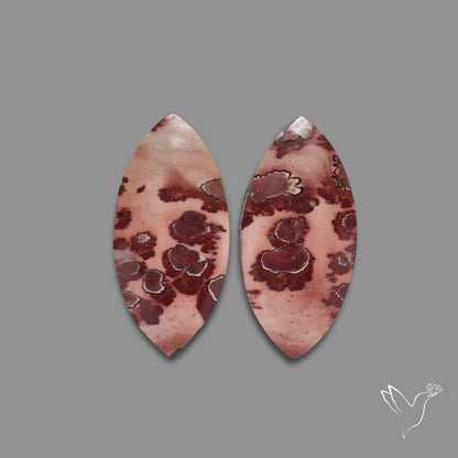 Sonoran Dendiritic Rhyollite Pair