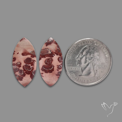 Sonoran Dendiritic Rhyollite Pair