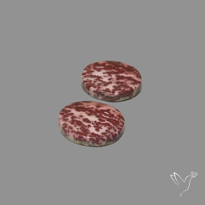Sonoran Dendiritic Rhyollite Pair