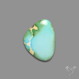 Sonoran Gold Turquoise Cabochon Rare