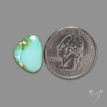 Sonoran Gold Turquoise Cabochon Rare